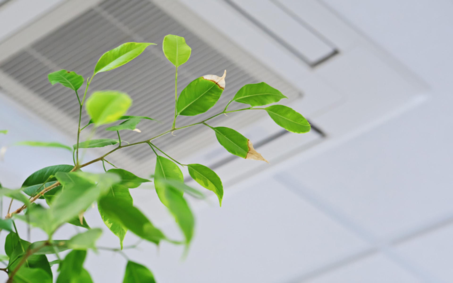 Qualité de l'air  Institut national de santé publique du Québec