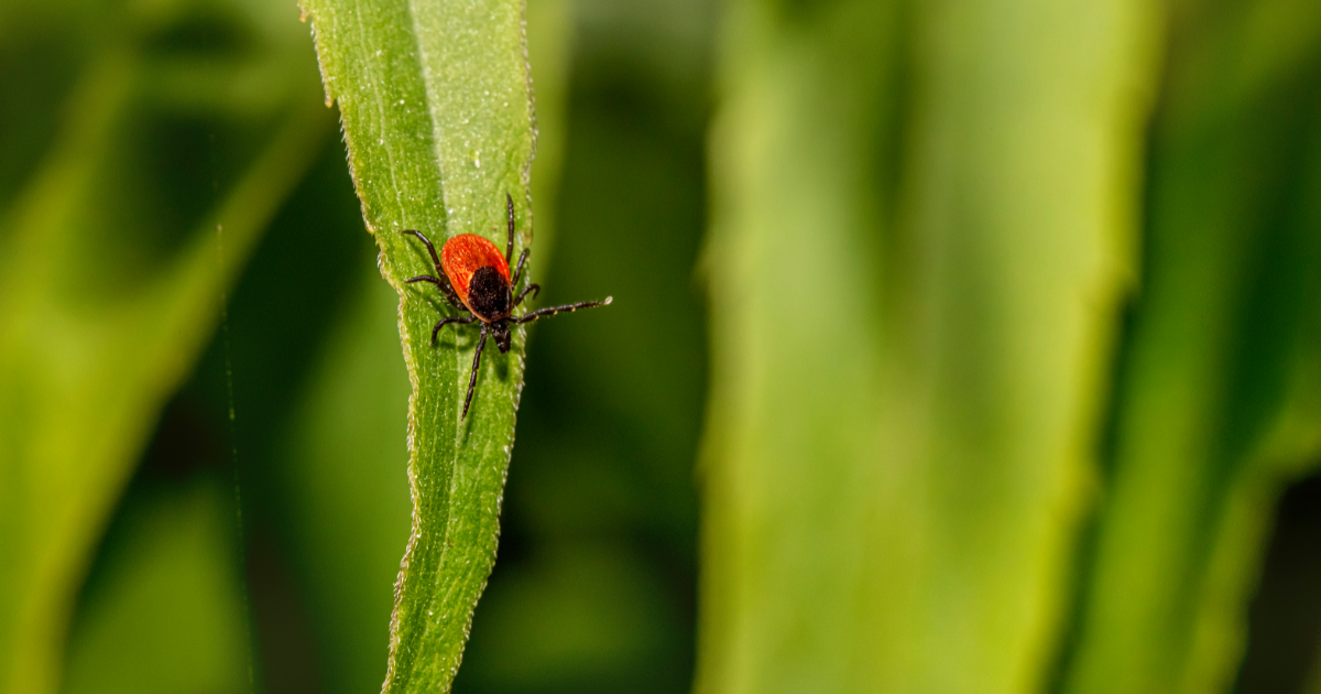 Fast and innovative response to emerging diseases