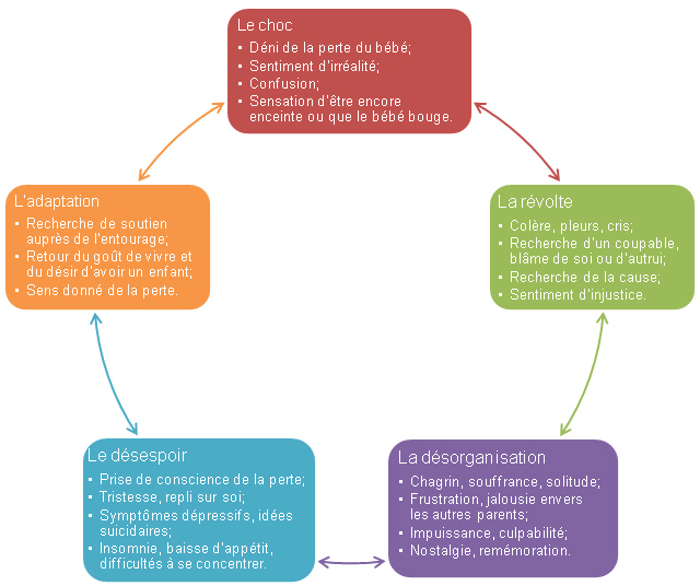 Les réactions émotionnelles qui caractérisent les phases du deuil