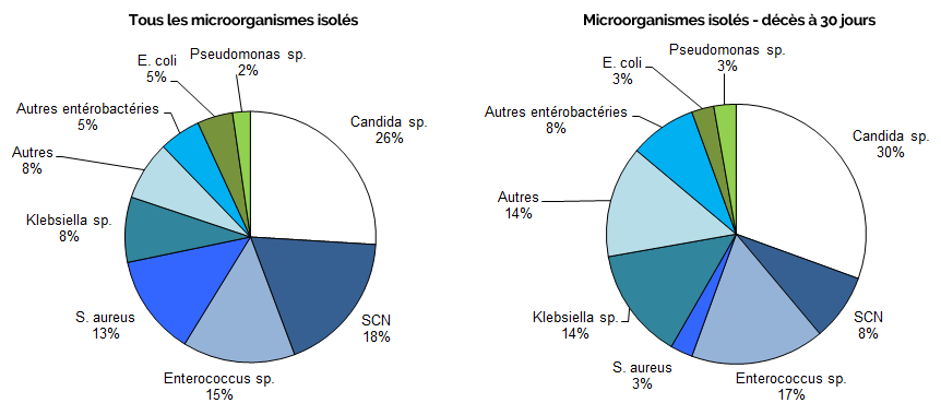 Figure 5 – Répartition des catégories de microorganismes isolés, pour tous les cas (N = 131) et pour les cas décédés à 30 jours (N = 36), Québec, 2017-2018 (%)