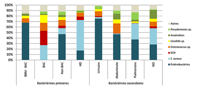 Figure 10 – Répartition des catégories de microorganismes isolés, pour chacun des types d’infection, Québec, 2018-2019 (%)