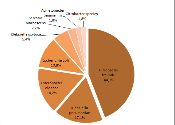Figure 1 – Répartition des catégories de microorganismes isolés, pour tous les cas (n = 98), Québec, 2015-2016 