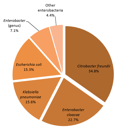 Figure 1 – Categories of Isolated Microorganisms for all Cases (n = 347), Québec, 2016-2017 