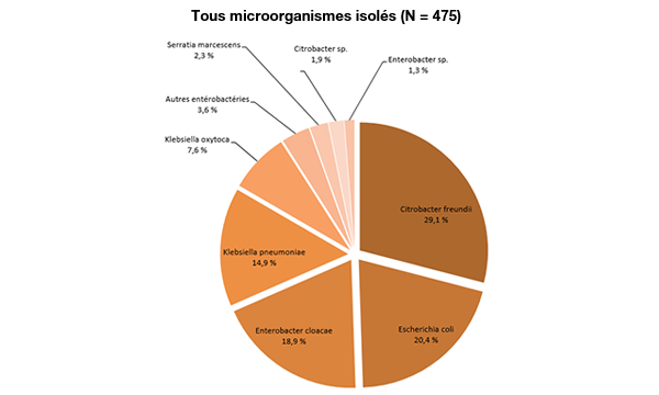 Figure 1 – Répartition des catégories de microorganismes isolés, pour tous les cas (N = 475), ensemble du Québec, 2018-2019