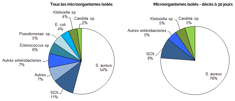 Figure 7 – Répartition des catégories de microorganismes isolés, pour tous les cas (N = 142) et pour les cas décédés à 30 jours (N = 21), Québec, 2017-2018 (%) 