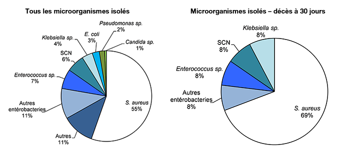 Figure 7 – Répartition des catégories de microorganismes isolés, pour tous les cas (N = 157) et pour les cas décédés à 30 jours (N = 13), Québec, 2018-2019 (%)  
