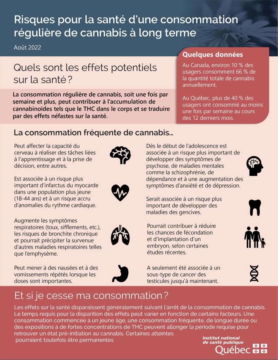 Affiche - Risques pour la santé d’une consommation régulière de cannabis à long terme