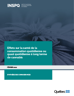 Effets sur la santé de la consommation quotidienne ou quasi quotidienne à long terme de cannabis