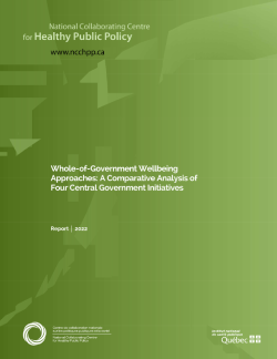 Whole-of-Government Wellbeing Approaches: A Comparative Analysis of  Four Central Government Initiatives