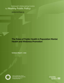 The Roles of Public Health in Population Mental Health and Wellness Promotion