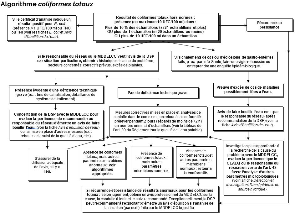 Fiche metier responsable de reseau eau potable