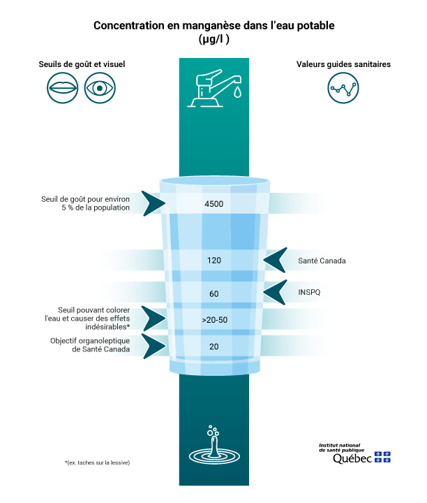 Concentration en manganèse dans l'eau potable (μg/l)
