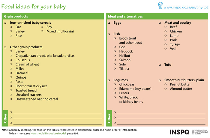 6 to 12 months — your baby's first foods