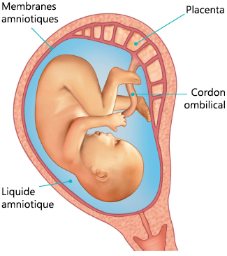 Ventre De Bébé Entourant La Protection Du Ventre De Bébé Artefact Poche  Ventrale Ceinture De Protection Du Nombril Du Nouveau-né Printemps Automne  Été Mince Quatre Saisons Universel - Bébé Et Maternité 