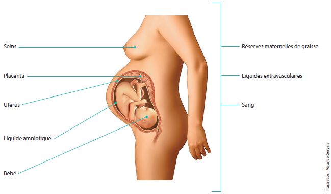 Changements physiques | Institut national de santé publique du Québec