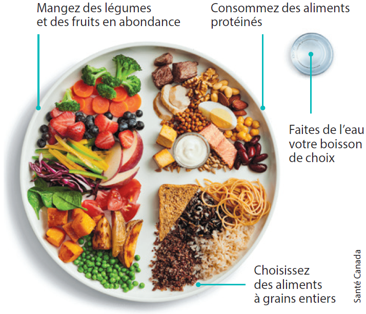 Mangez des légumes et des fruits en abondance, consommez des aliments protéinés, choisissez des aliments à grains entiers, faites de l'eau votre boisson de choix.