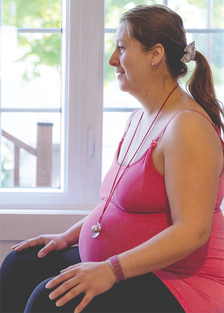 Surveillance de la santé de bébé  Institut national de santé publique du  Québec