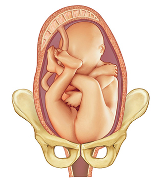 First stage: Thinning and opening of the cervix