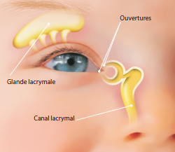 Bébé : pour savoir pourquoi il pleure, regardez ses yeux - Top Santé