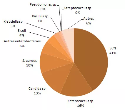 Figure 5 – Répartition des catégories de microorganismes isolés, pour tous les cas (N = 187) et pour les cas décédés à 30 jours (N = 30), Québec, 2013-2014 (%) Tous les microorganismes isolés