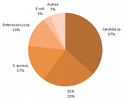 Figure 5 – Répartition des catégories de microorganismes isolés, pour tous les cas (N = 187) et pour les cas décédés à 30 jours (N = 30), Québec, 2013-2014 (%) Microorganismes isolés – décès à 30 jours