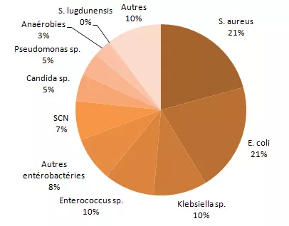 Figure 8 – Répartition des catégories de microorganismes isolés, pour tous les cas (n = 2 923) et pour les cas décédés à 30 jours (N = 495), Québec, 2013-2014 (%)  Tous les microorganismes isolés 