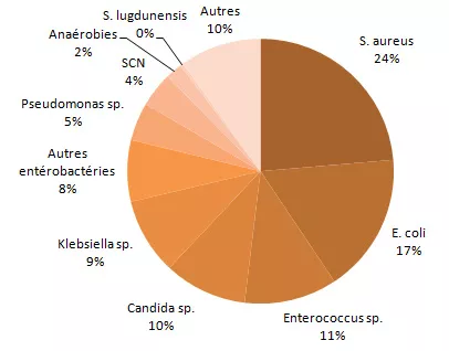 Figure 8 – Répartition des catégories de microorganismes isolés, pour tous les cas (n = 2 923) et pour les cas décédés à 30 jours (N = 495), Québec, 2013-2014 (%) Microorganismes isolés – décès à 30 jours