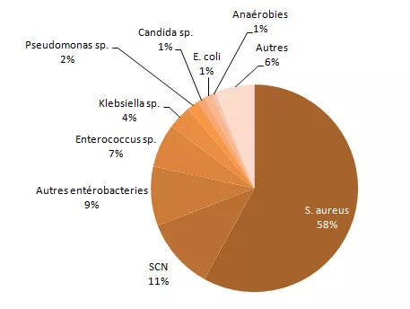 Figure 7 – Répartition des catégories de microorganismes isolés, pour tous les cas (N = 162) et pour les cas décédés à 30 jours (N = 23), Québec, 2013-2014 (%) Tous les microorganismes isolés