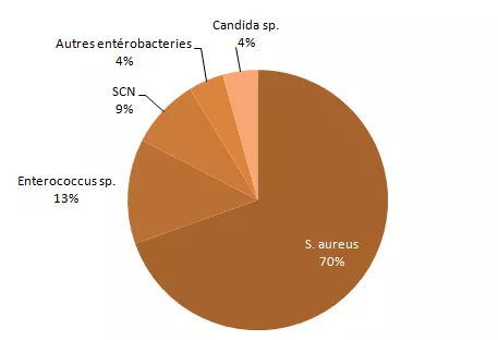 Figure 7 – Répartition des catégories de microorganismes isolés, pour tous les cas (N = 162) et pour les cas décédés à 30 jours (N = 23), Québec, 2013-2014 (%) Microorganismes isolés - décès à 30 jours