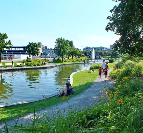 Lutte contre les îlots de chaleur urbains