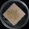 Aspergillus flavus on gypsum board
